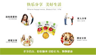 天子贵休闲食品全产业链解析 从厂家到代理的完整指南