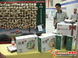 智能制造新纪元 历届工厂化会展特装展位的技术咨询与实践